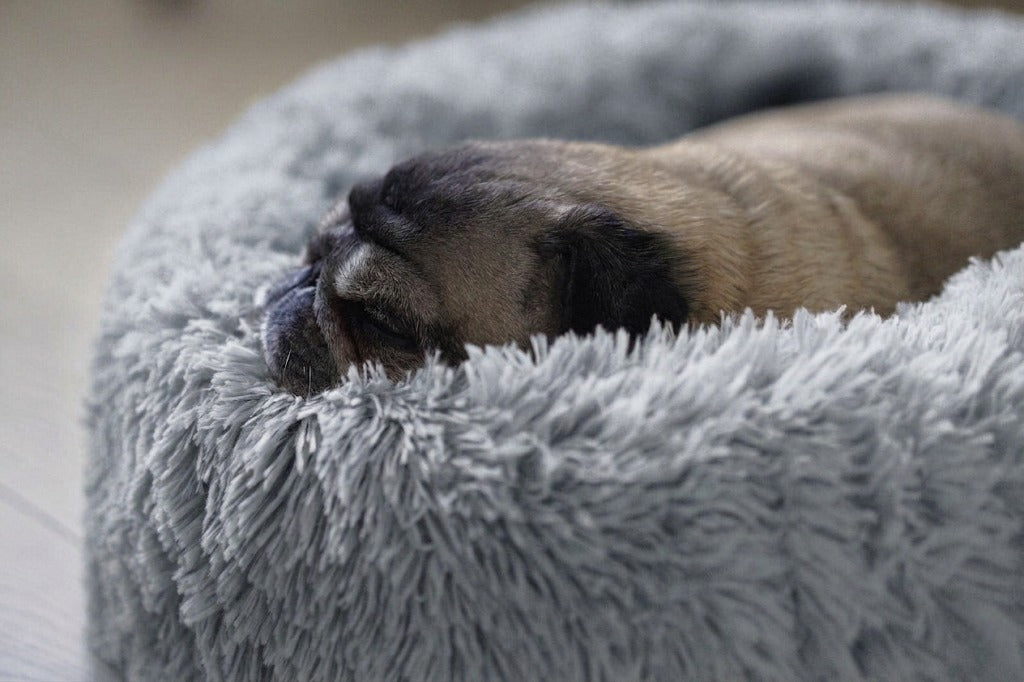Calming Dog Bed
