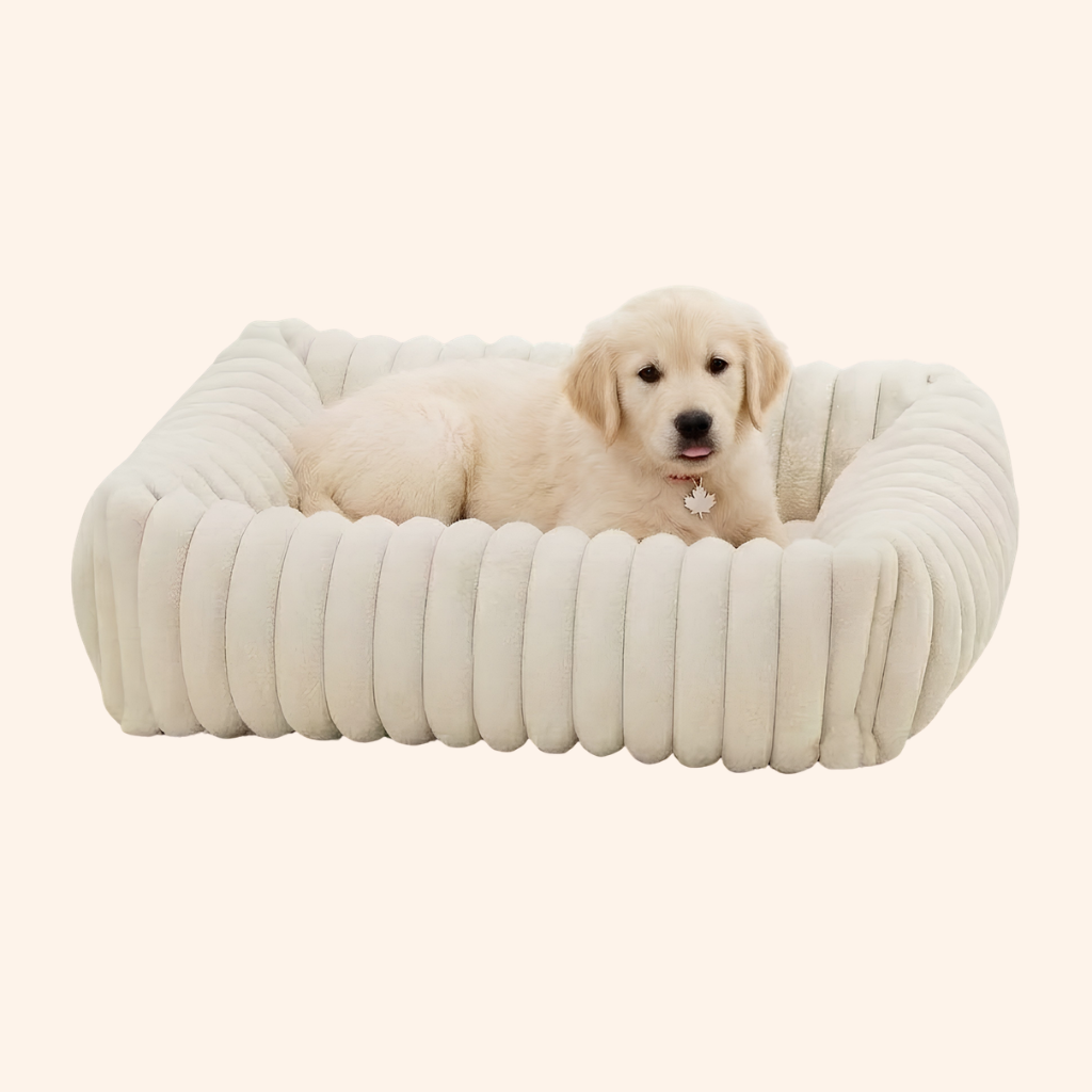 Fluffy Dog Bed