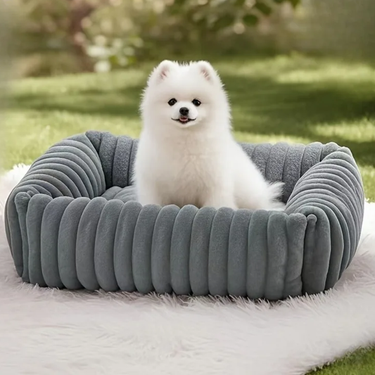 CloudPaws Orthopedic Plush Dog Mattress Bed