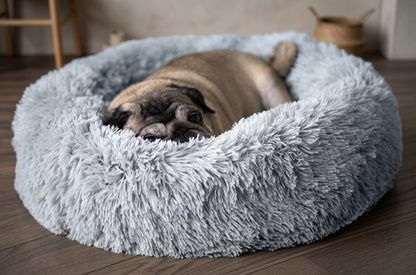 Calming Dog Bed