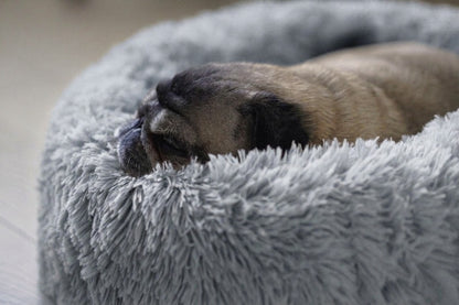 Calming Dog Bed