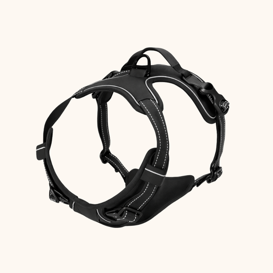 CloudPaws No-Pull Dog Harness