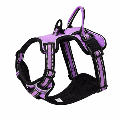 Comfort-Fit Dog Harness