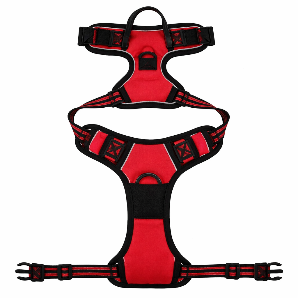 Comfort-Fit Dog Harness